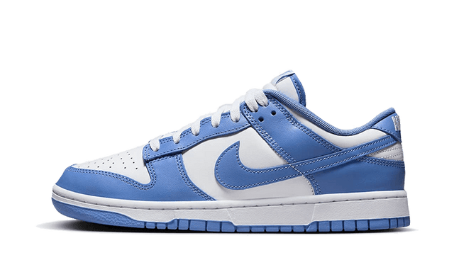 dunk-low-polar-blue-ddd5b9-3