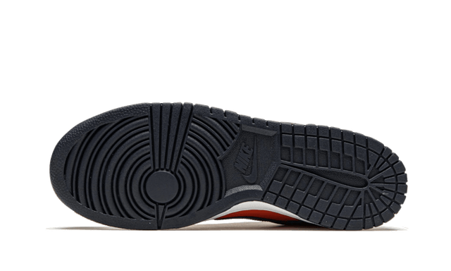 dunk-low-sp-champ-colors-ddd5b9-3