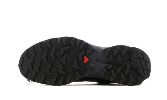 xt-4-og-black-silver-metallic-ddd5b9-3