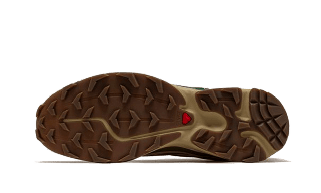 xt-6-rubber-lizard-ddd5b9-3
