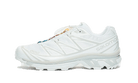 xt-6-white-lunar-rock-ddd5b9-3