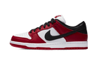 sb-dunk-low-pro-chicago-ddd5b9-3