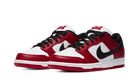 sb-dunk-low-pro-chicago-ddd5b9-3