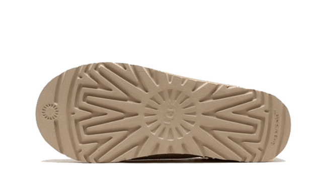 tasman-slipper-mustard-seed-ddd5b9-3