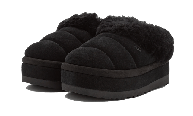 tazzlita-black-ddd5b9-3