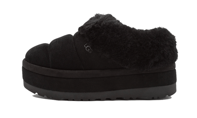 tazzlita-black-ddd5b9-3