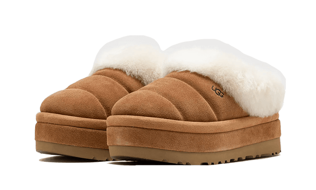 tazzlita-chestnut-ddd5b9-3