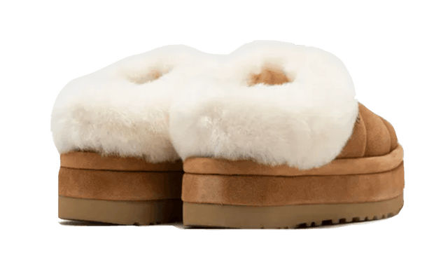 tazzlita-chestnut-ddd5b9-3