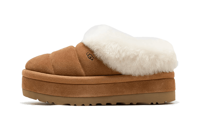 tazzlita-chestnut-ddd5b9-3