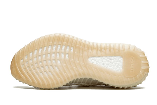 yeezy-boost-350-v2-light-ddd5b9-3