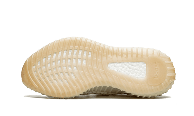 yeezy-boost-350-v2-light-ddd5b9-3