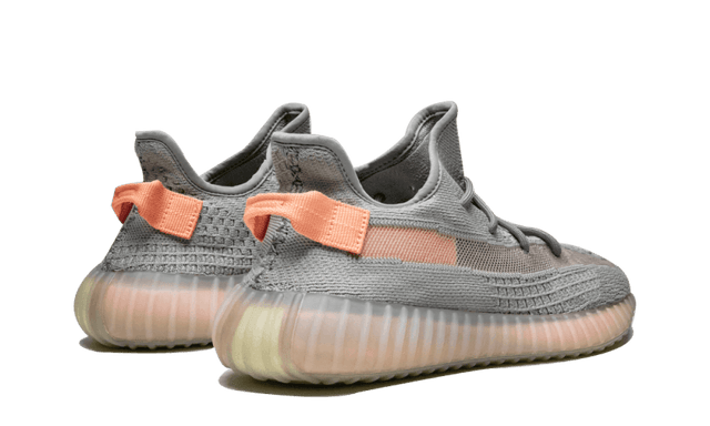 yeezy-boost-350-v2-true-form-ddd5b9-3