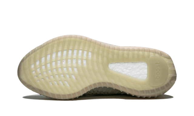 yeezy-boost-350-v2-true-form-ddd5b9-3